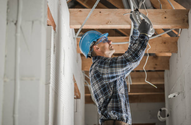 Best Electrical System Inspection  in Palmyra, WI